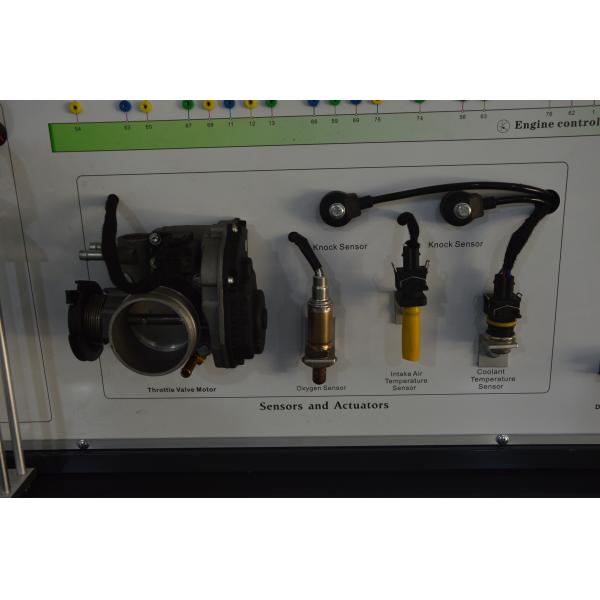 Équipement pédagogique automobile à moteur essence 50 Hz, système de contrôle moteur personnalisé