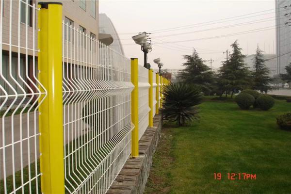 2.0mm 3.0mm 4.0mm Galvanized Wire Fence Roll Hot Dip 50mm*50mm 2*2