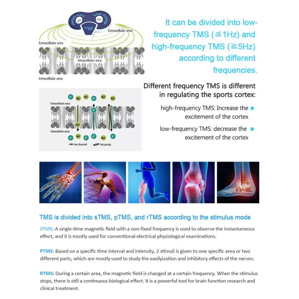 Machine de thérapie magnétique de bureau 1 Hz-100 Hz pour la réhabilitation du tendon d'Achille / ligament de la cheville
