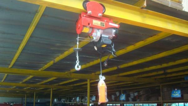 Compact and Electric Chain Hoist for Smooth and Operation Gear Mechanism and Ball Bearings 120V/230V Power Supply Options