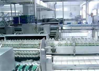 Glass Bottled Beverage Processing Equipment Walnut / Peanut Milk Production Line