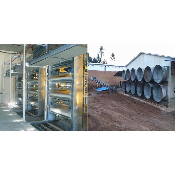 Машина фермы квасцов цинка очищая, тип клетка 2.2kw 3kw h цыпленка слоя