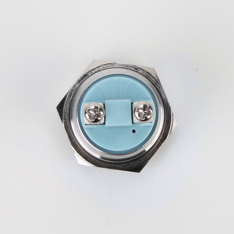 19mm 6V-220V Stainless Steel Flat Head Signal Lamp LED Indicator Lights Green Blue White Yellow IP65 IK08 Industrial Control