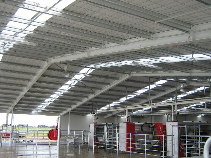Customized Industrial Steel Sheds Modern Style Easy Install Shed For Dairy Farm