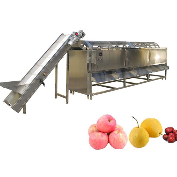 Fruit Vegetable Avocado Grader Grading Machine Weight Sorter Machine Commercial