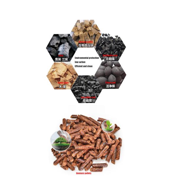 Боилер биомассы вертикальной деревянной лепешки 0,5 Т/Х небольшой для нержавеющей стали Филиппин