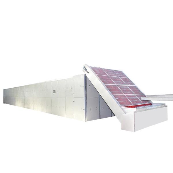 Dual Layer Fruit Mesh Belt Dryer SUS304