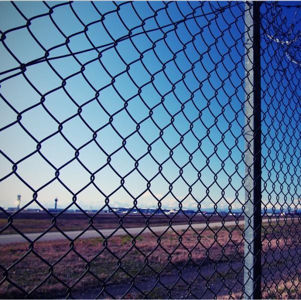 O Pvc de Mesh Fencing Hot Dip Galvanized do fio do elo de corrente de 6 pés revestiu