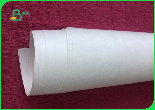 Peso leve do papel 1070D 1073D 1083D da impressora de Tyvek da resistência de rasgo para o cartaz