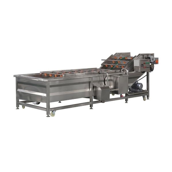 Customizable Capacity Bubble Washer for Industrial Fruit and Vegetable Processing