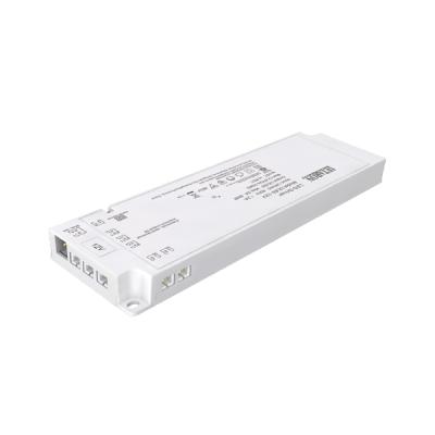 LETARON 30W Constant Voltage Waterproof LED Driver Power Supply For Strip Lights 12V Transformer 110V-120V AC To DC