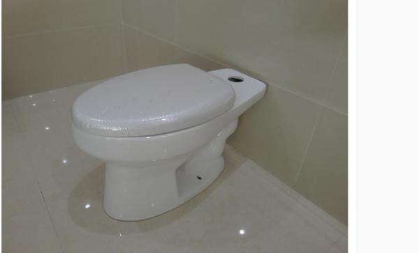 Dual Flush Sanitary Ware Toilet Gravity Flushing Marine Yacht Toilet