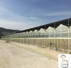 Multi-Span Agricultural Greenhouses Modern Tech Glass Greenhouse for Agriculture