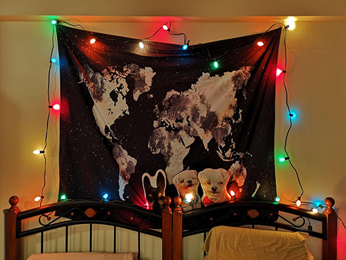 света рождества К7 цвета 25фт Мулти Ип44 для свадьбы партии праздника