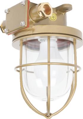CCD9-5 Marine Cabin Exterior Light Cabin Pendant Lighting
