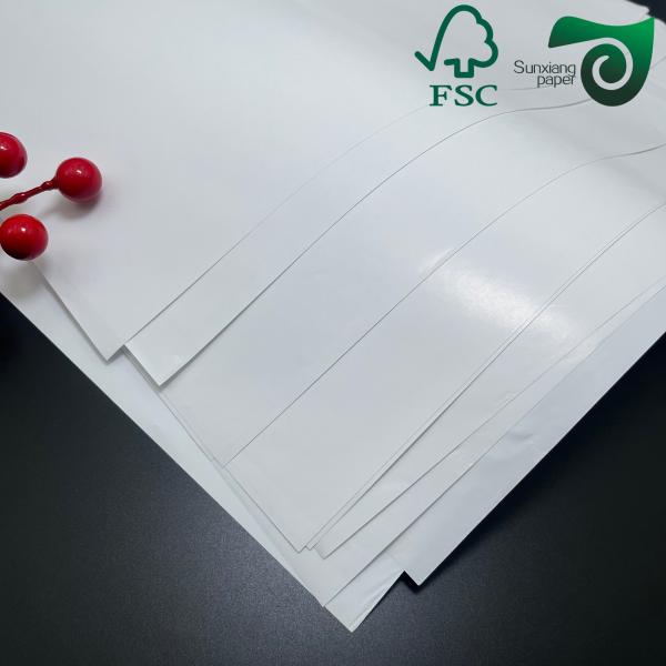 Double Sided Coated Roll White Glossy Couche Art Paper Board 120g  300g  FSC