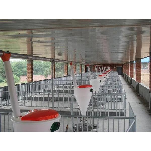 Husbandry Livestock Feeding Equipment Plastic Piglet Feed Trough 80L 100L