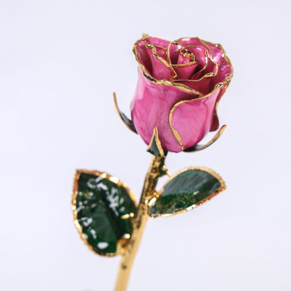 24K Gold-plated Rose Flowers, Natural Rose Craftsmanship, Single Branch, Blue Rose, in Bloom, Rose Resin Preservation
