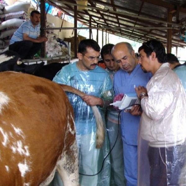 B Mode Medical Ultrasound Machine Diagnostic KX5100 VET Veterinary  Instruments