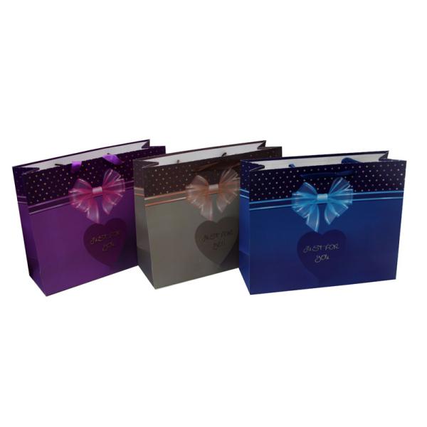 Shining Coats Paper Carrier Bag for Gift Packing Ribbon Handle