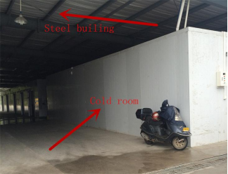 Almacén de acero prefabricado de gran envergadura Estructura prefabricada de acero Almacenamiento en el cuarto frío