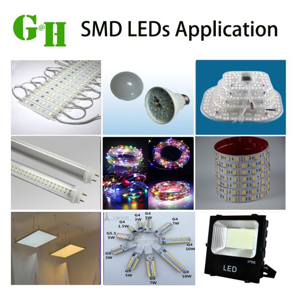 2835 SMD LED Chip 6500K 250LM/W High Efficiency 50000Hrs Lifespan for Grow Plant Light