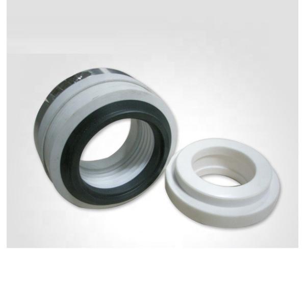 Гидравлические уплотнения мембраны 10T 10R PTFE для промышленного насоса
