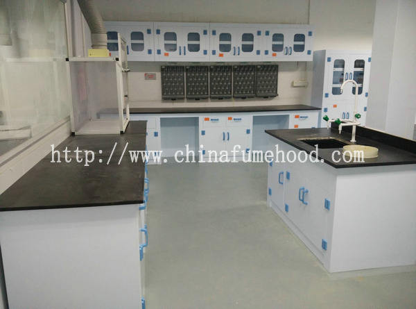 Polypropylene School Science Laboratory Furniture Floor Mounted With DTC Hinge