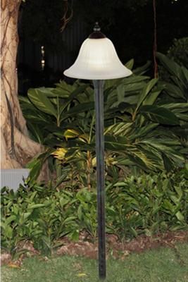AC12V Low Voltage 3 Watt Led Landscape Light for front yard and outdoor led path light