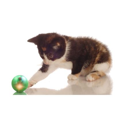 Flashing Light ABS EVA Cute Pet Toys Interactive Rolling Ball Hollow Sound