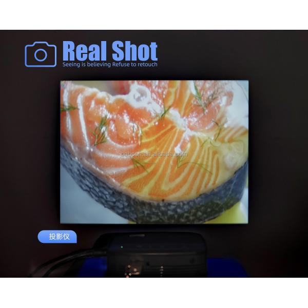 Mini Portable 16:9 LCD Video Projector 2GB ROM and 2G RAM Home Theater Smartphone Media Player Star200