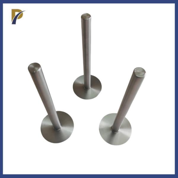 Resistências térmicas Tubos de protecção de tântalo Proteção térmica resistente à corrosão