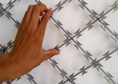  Galvanized 2.5mm Razor Sharp Barbed Wire