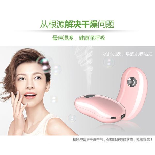 Beauty Facial Hydrating Skin Water Sprayer with Power Bank GK-SP02