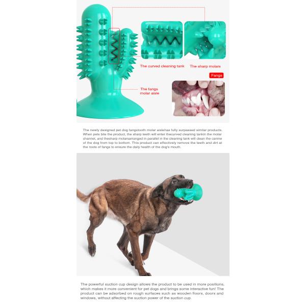 TPR Interactive Pet Toys Toothbrush Molar Puppy Teeth Cleaning Toy 125g ODM