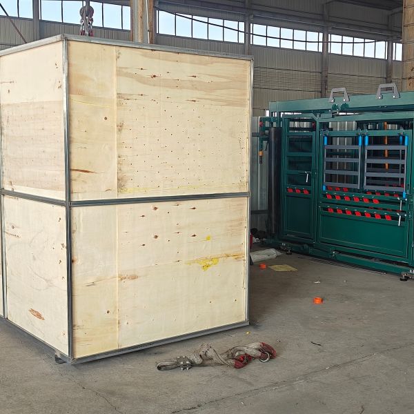 Heavy Duty Bail With Dual Locking Mechanism Cattle Crush For Farm