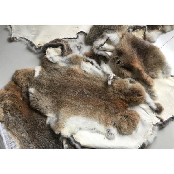 Pelos mullidos bronceados amistosos de Eco de Rex de la piel real auténtica del conejo para la materia textil casera