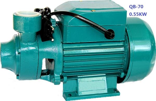bomba de agua potável doméstica de 0.75HP 0.55KW para a associação que bombeia/polvilhar do jardim