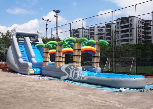 71' caçoa por muito tempo a corrediça de água inflável comercial tropical com os golfinhos grandes da associação N 2 para o uso exterior