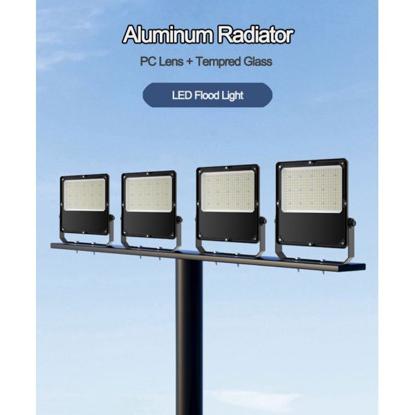 Factory IP66 Outdoor Engineering High Quality Led Floodlight 600W