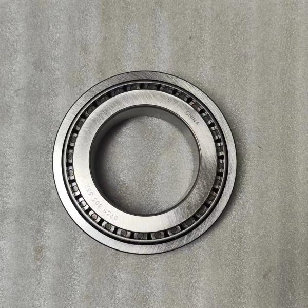 0735300931 Roller Bearing for Heavy Duty Trucks Automatic Transmission Parts Suitable
