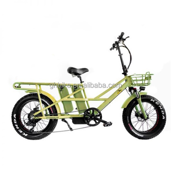 48V Electric Dual Motor 1000 Watt Long Range Fat Tire Cargo E-Bike with Fast Charging