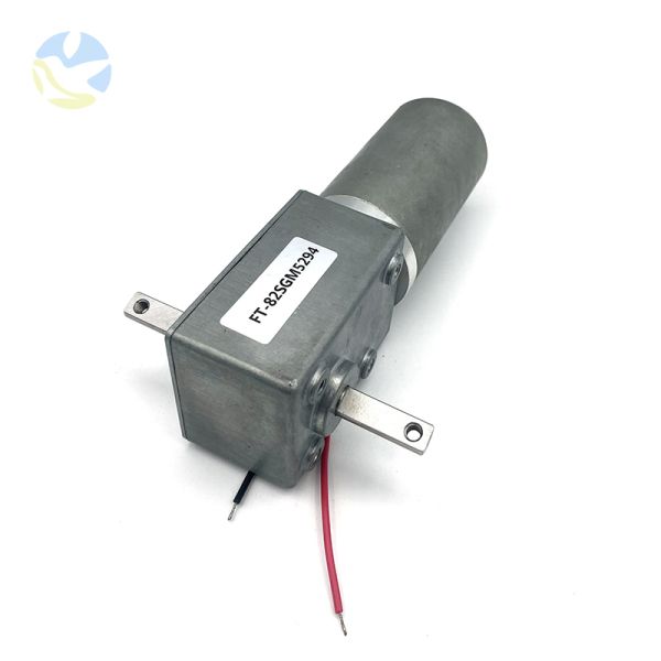 Custom FT-82SGM5294 Dual Output Shaft High Torque High Power DC Worm Gear Brushless Electric Motor