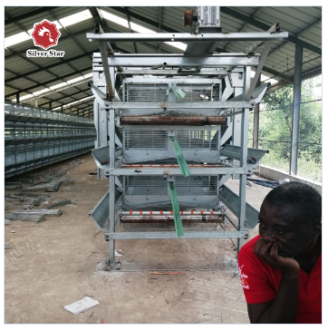 3-9 этаж Ферма батарейная куриная клетка с автоматической системой