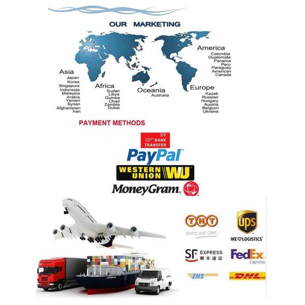 Подвеска двигателя автомобиля OEM T4A1060 для ПОБЕЖКИ X761 LR094226 LR094225 F ЯГУАРА LAND ROVER