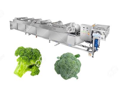Industrial Frozen Broccoli Cauliflower Vegetable Washing Cleaning Production Line