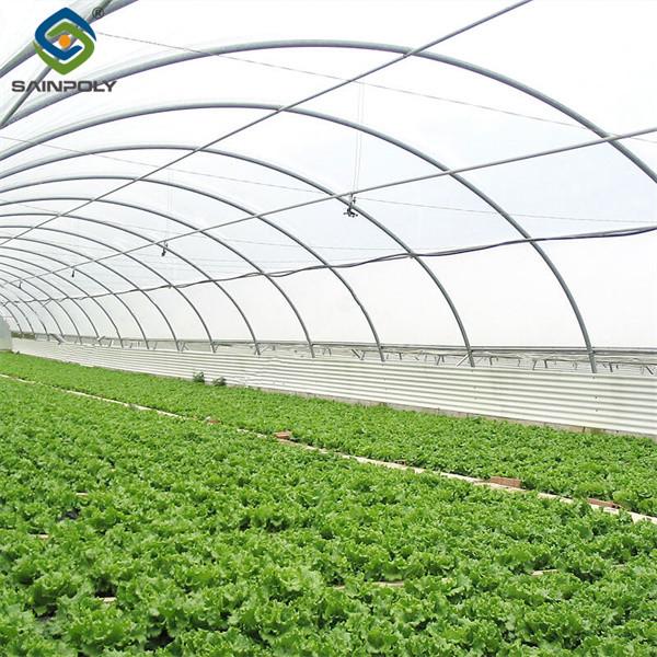 Large Size Vertical Hydroponic Greenhouse Stable Structure Easily Assembled