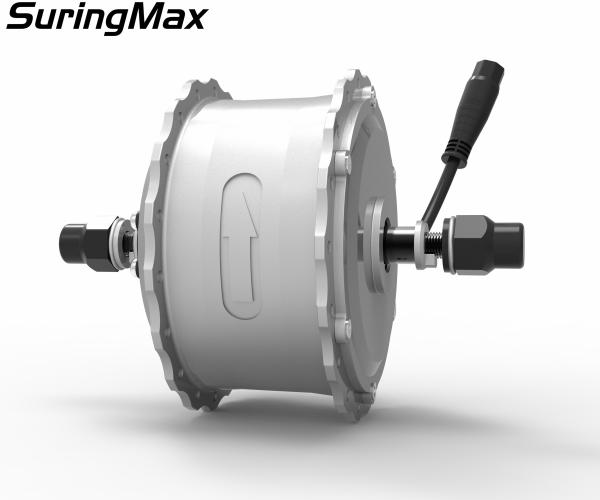 48v 500w Fat Bike Hub Motor Conversion Kit With 3 Years Warranty