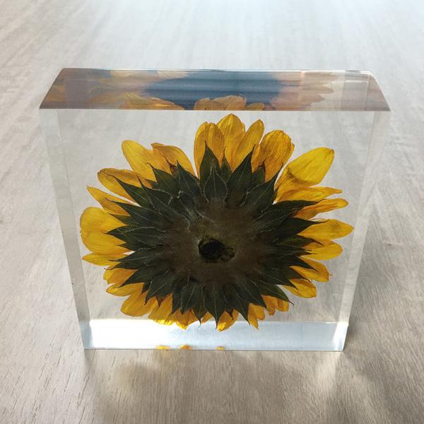 Low MOQ Custom Shapes Sizes paper weight Crafts For Decoration custom resin weightpaper scale flower inside acrylic paper weight