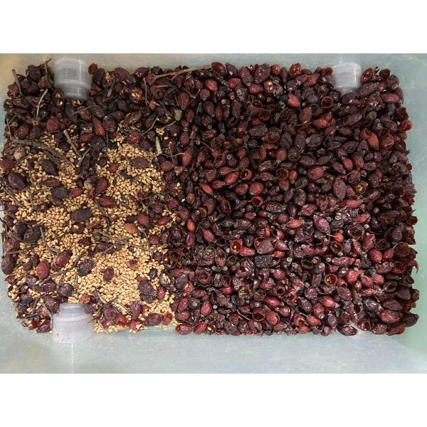 Multifunction 7 Chute Style High Technology Roseship Seed Rapeseeds  Color Sorter Machine